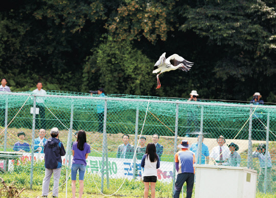 LG상록재단은 18일 충청남도 예산군 광시면에 위치한 황새공원에서 천연기념물 제199호로 지정된 황새 일가족 다섯 마리를 방사했다.    LG그룹 제공
